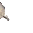 SealArrive