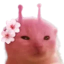 CuteGlorp