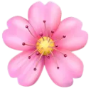 ecafeflower