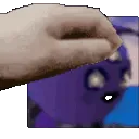 SlowMisfitPets