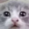 petrol