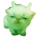 glorphuh