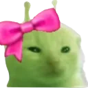 glorpcute