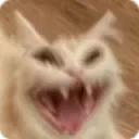 aaaaaaa aaaaaaa