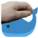 petthewhale