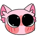 bingusflushed