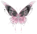 f_pinkblackbutterfly