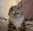 pawnch