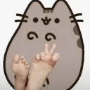 meme_pusheenfeetpeacesign