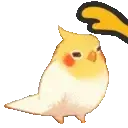 birdpat
