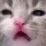 JC_huh