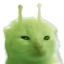 glorp