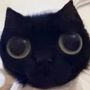 nutsack