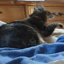 screm
