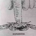 immobilize