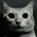 ohno