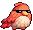 9E02_CoolBird_A
