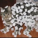static_cling