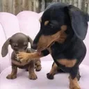 shhhh
