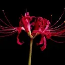 tumblr_noldwndX801uqgal7o2_500