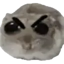 angryhamster