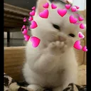 70016969201796421min