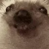 nom
