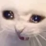 why