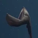 booo