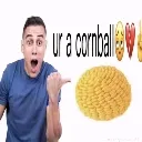 yurcornball