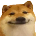 Doge