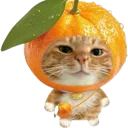 emoji_35