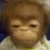 012_unsuprisedmonkey