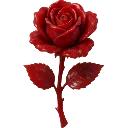 redrose