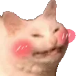 catblush
