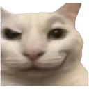 1111