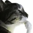 thinker