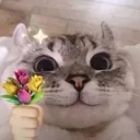 catflowers