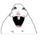 hamster3