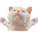 NYOO NYOO
