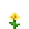 flower_dandelion flower_dandelion