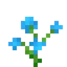 flower_blue_orchid flower_blue_orchid