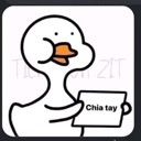 A white cartoon duck holding a sign that says Chia tay with a neutral expression.