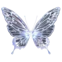 b_butterfly