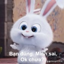 Snowball the white rabbit looking smug with text in Vietnamese expressing sarcastic defeat.