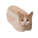 loaf