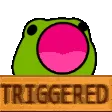 triggeredfroggo
