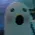 seagull