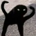 caat