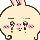 usagicries